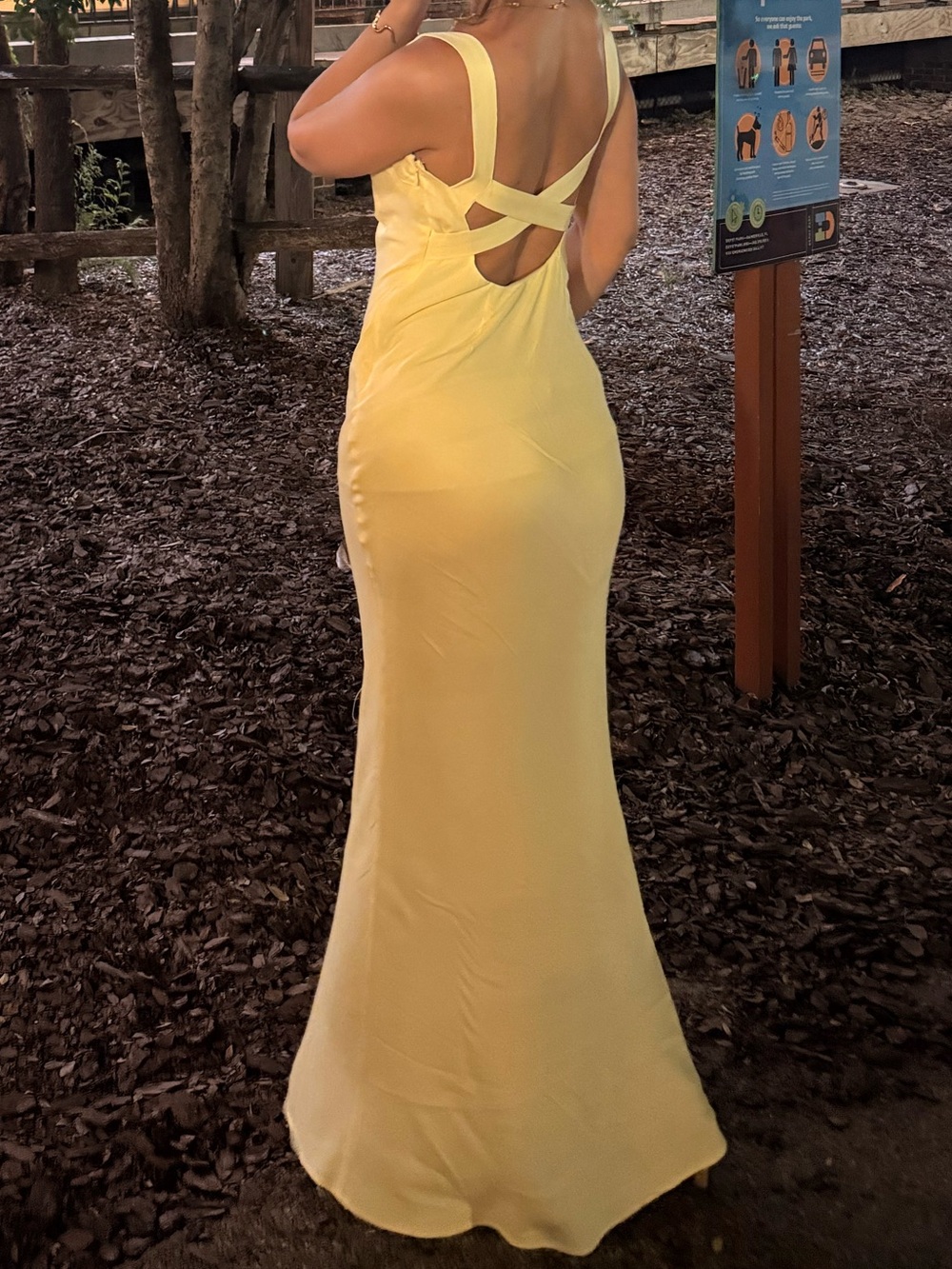 Meshki Ensley Satin Maxi Dress - Picture 5 of 5